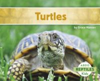 Book Cover for Turtles by Grace Hansen