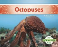 Book Cover for Octopuses by Grace Hansen