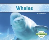 Book Cover for Whales by Grace Hansen