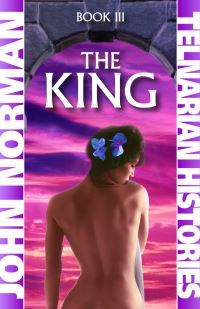 Book Cover for The King by John Norman