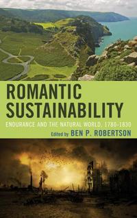 Book Cover for Romantic Sustainability by Ben P Robertson