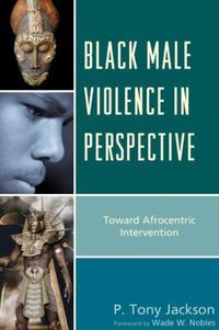 Book Cover for Black Male Violence in Perspective by P Tony Jackson