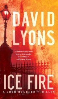 Book Cover for Ice Fire by Armando Lucas Correa