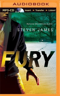 Book Cover for Fury by Steven James
