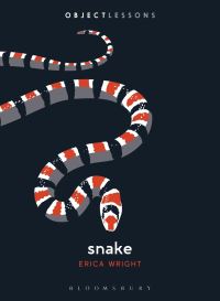 Book Cover for Snake by Erica Wright