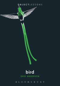 Book Cover for Bird by Erik Anderson
