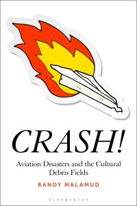 Book Cover for Crash! by Randy Malamud