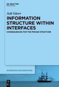 Book Cover for Information Structure Within Interfaces by Asl Gürer