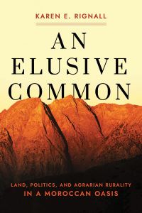 Book Cover for An Elusive Common by Karen E Rignall