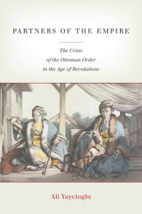 Book Cover for Partners of the Empire by Ali Yaycioglu