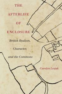 Book Cover for The Afterlife of Enclosure by Carolyn Lesjak