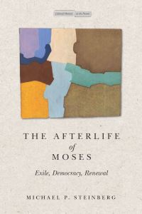 Book Cover for The Afterlife of Moses by Michael P Steinberg
