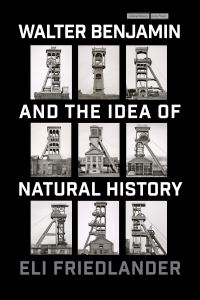Book Cover for Walter Benjamin and the Idea of Natural History by Eli Friedlander