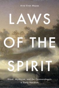 Book Cover for Laws of the Spirit by Ariel Evan Mayse