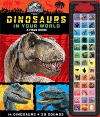 Book Cover for Dinosaurs in Your World by 