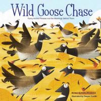 Book Cover for Wild Goose Chase by Kathy Broderick