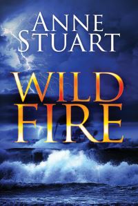 Book Cover for Wild Fire by Anne Stuart
