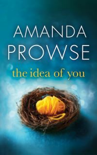 Book Cover for The Idea of You by Amanda Prowse