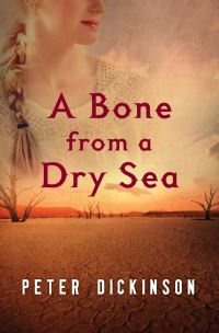 Book Cover for A Bone from a Dry Sea by Peter Dickinson