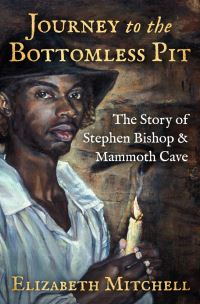 Book Cover for Journey to the Bottomless Pit by Elizabeth Mitchell