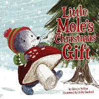 Book Cover for Little Mole's Christmas Gift by Glenys Nellist