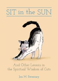 Book Cover for Sit in the Sun by Jon M Sweeney