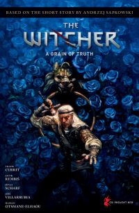 Book Cover for The Witcher by Jacek RembiÔs, Travis Currit, Andrzej Sapkowski, Andrzej Sapkowski