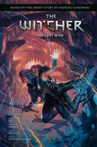 Book Cover for The Witcher by Marcin Zwierzchowski, Andrzej Sapkowski
