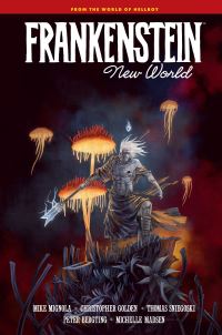 Book Cover for Frankenstein by Mike Mignola, Christopher Golden, Tom Sniegoski