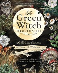 Book Cover for The Green Witch Illustrated by Arin MurphyHiscock