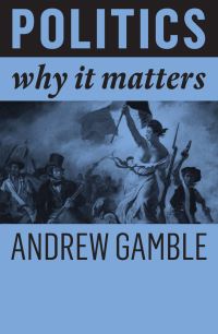 Book Cover for Politics by Andrew Gamble