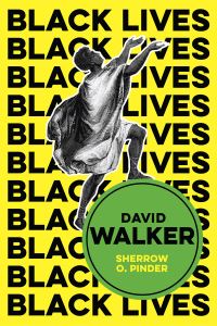 Book Cover for David Walker by Sherrow O Pinder