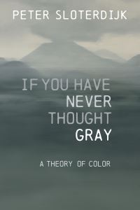 Book Cover for If You Have Never Thought Gray by Peter Sloterdijk