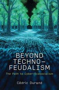 Book Cover for Beyond Techno-Feudalism by Cdric Durand