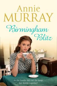 Book Cover for Birmingham Blitz by Annie Murray