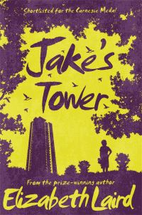 Book Cover for Jake's Tower by Elizabeth Laird