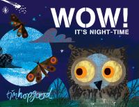 Book Cover for Wow! It's Night-Time by Tim Hopgood