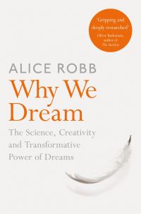 Book Cover for Why We Dream by Alice Robb
