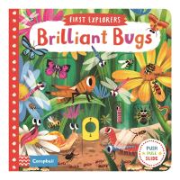Book Cover for Brilliant Bugs by Chorkung