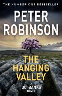 Book Cover for The Hanging Valley by Peter Robinson
