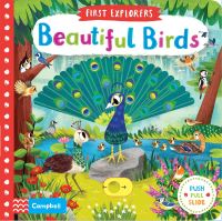 Book Cover for Beautiful Birds by Chorkung