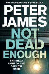 Book Cover for Not Dead Enough by Peter James