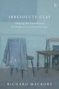 Book Cover for Irresolute Clay by Richard Macrory