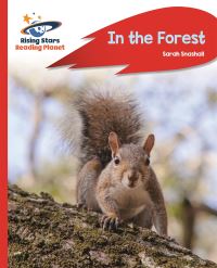 Book Cover for In the Forest by Sarah Snashall