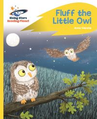 Book Cover for Fluff the Little Owl by Catherine Baker