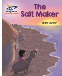 Book Cover for The Salt Maker by Chitra Soundar
