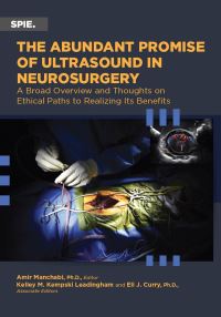 Book Cover for The Abundant Promise of Ultrasound in Neurosurgery by Amir Manbachi, Kelley M Kempski Leadingham, Eli J Curry