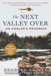 Book Cover for The Next Valley Over by Charles Gaines