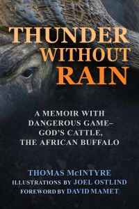 Book Cover for Thunder Without Rain by Thomas McIntyre