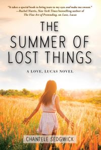 Book Cover for The Summer of Lost Things by Chantele Sedgwick